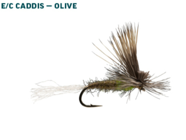 RIO Dry Fly Assortment Caddis Olive